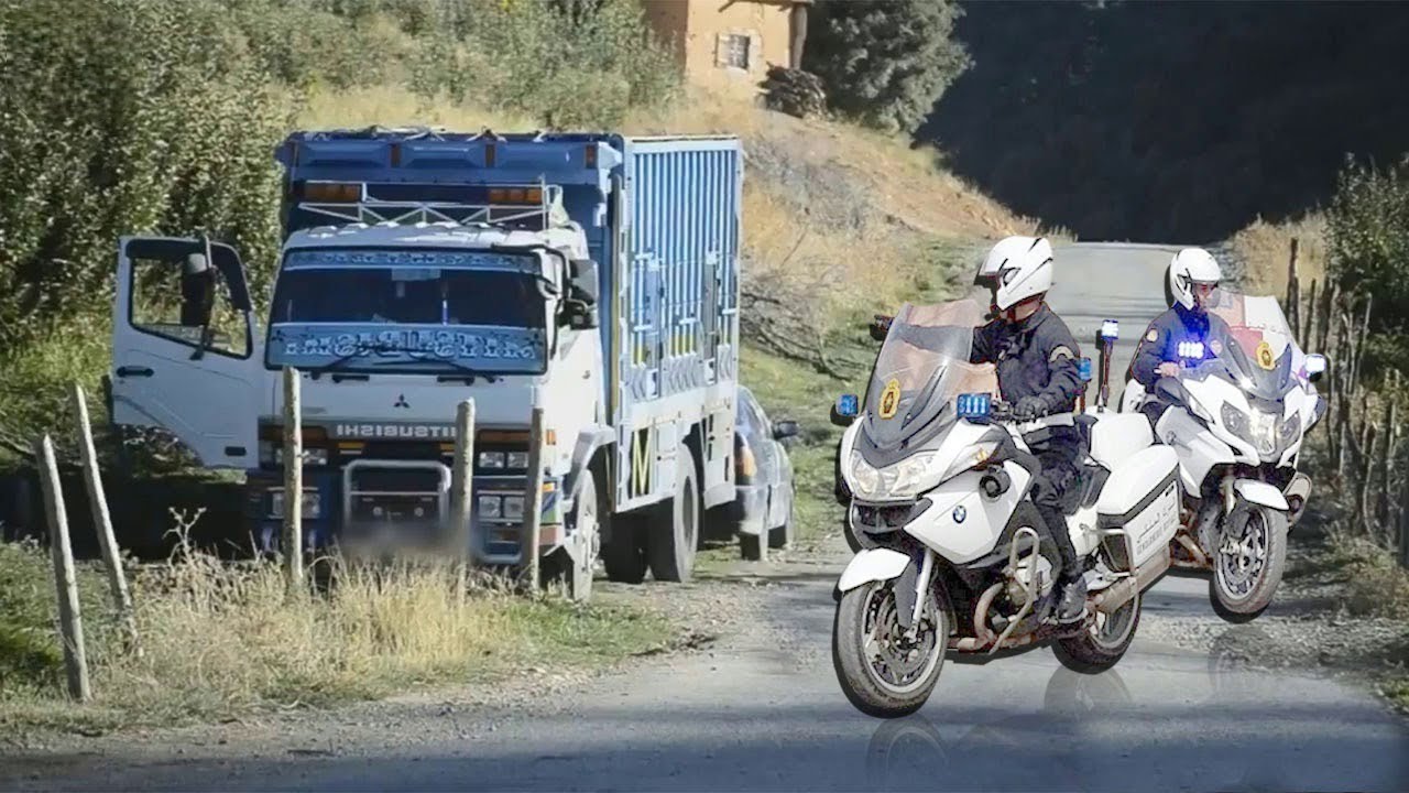 شك الدركيان في شاحنة متوقفة لوحدها بجانب إحدى الغابات فقرروا تفتيشها ليكتشفوا أمرا جد رهيـب! لا يصدق