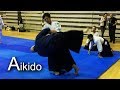 Aikido - Center body movement and fast footwork SHIRAKAWA RYUJI shihan