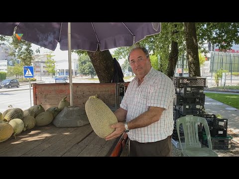 Este famalicense conhece o fruto de A a Z e partilha connosco o segredo de um bom melão.