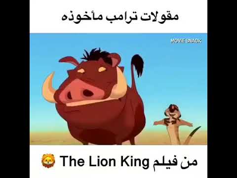 شوفو مقولات ترامب متاخدة من أي فيلم