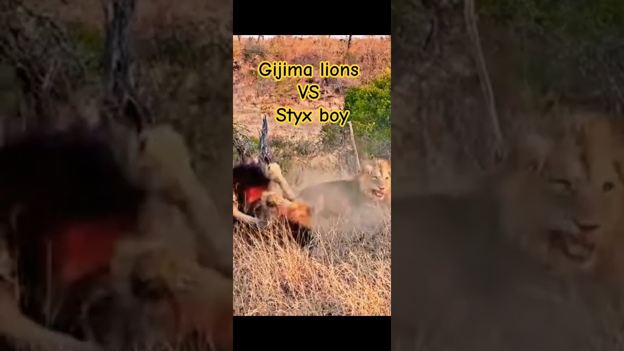 Gijima lions Vs Styx boy . 