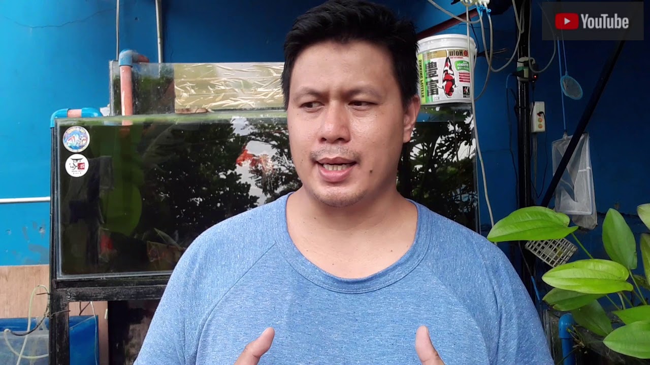 Part 2Cotton Mouth Disease Treatment using Hydrogen PeroxideMay