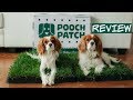 Pooch Patch Review | 100% Real Grass Dog Potty | Potty Training Pooch Patch Review | 100% Real Grass Dog Potty | Potty Training