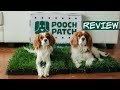 Pooch Patch Review | 100% Real Grass Dog Potty | Potty Training