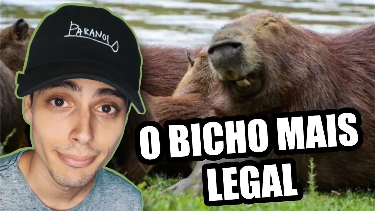 A capivara é o bicho mais legal #cartoonsbiel #animacao ib