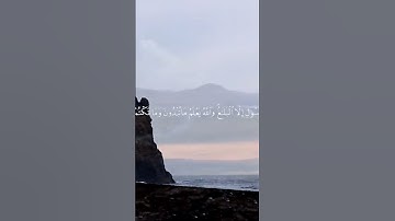 تلاوه خاشعه الشيخ محمد اللحيدان 🩵💫