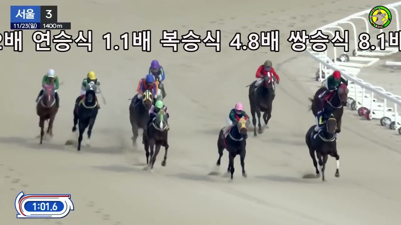 말꼬리 AI 경마예상 적중! 11월23일 서울3경주 단승식2.2배 연승식1.1배 복승식 4.8배 쌍승식 8.1배 복연승식 2.1배 삼복승식 4.1배 삼쌍승식 19.2배