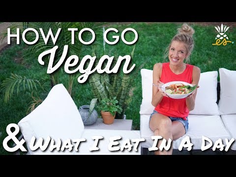 how-to-go-vegan-(transition-&-success-tips)-+-what-i-eat-in-a-day-(plant-based,-raw-'til-4)