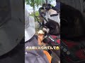 隙を見て盗み食いする豆柴【柴犬】#shorts