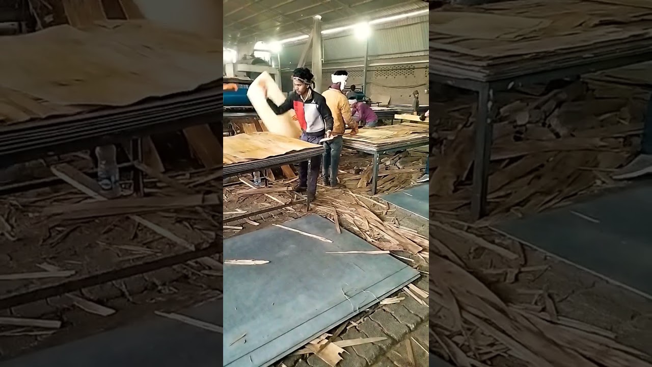 plywood making