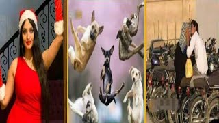 Very funny meme part 9||meme||jokes||comedy||reaction#memes #xavier #youtubeindia #comedyvideo
