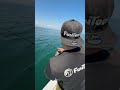 春のキャスティング ～ 三重県 鳥羽沖 ～ #釣り #fishing #shorts