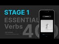 STAGE 1 (Global) - import [ESSENTIAL Verbs 400]