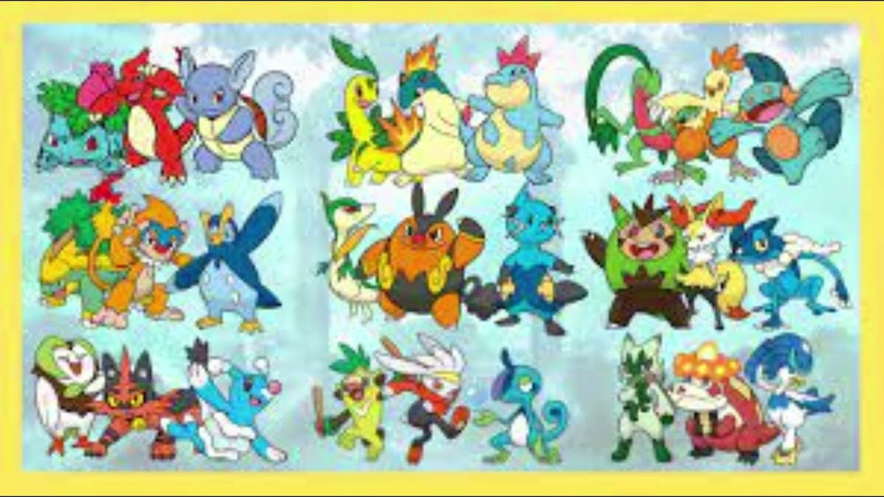 Casey's Ideas Mascot Costumes Of Any Middle Evolved Starter Pokemon 