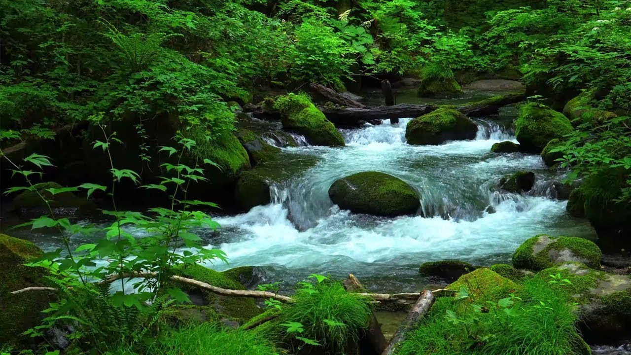 River Sound for Yoga and Stretching Practice Meditation, Relaxation, Focus [study, work, relaxation]