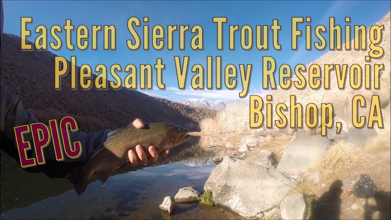Epic Eastern Sierra Trout Fishing at Pleasant Valley Reservoir