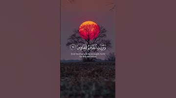 يوم لا ينفع مال ولا بنون || القارىء #احمد_النفيس #quran #تلاوة_خاشعة #قرآن #أذكار