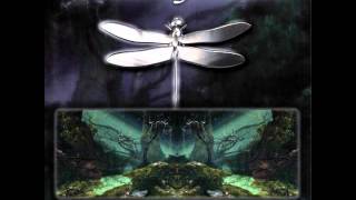 Amethystium - Ascension (Odonata)