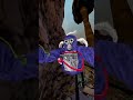 replying on my fans comments #gorillatag #gtag #vr #usingcapcut ##ytshorts #fun #funny #idk