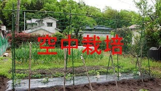 スイカ メロン かぼちゃの空中栽培 Youtube スイカ メロン かぼちゃの空中栽培 Youtube