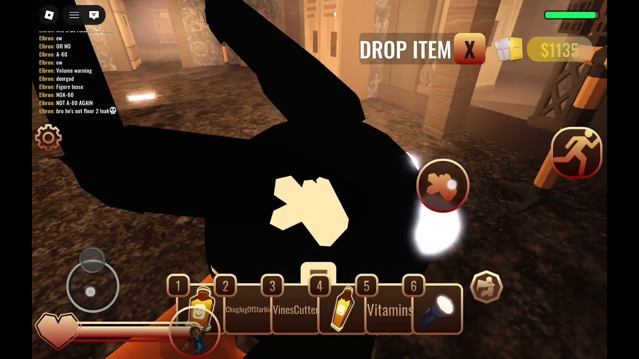 This is making me lag (Doors but stupidly bad hardcore mode floor 2)