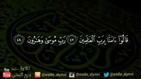 أجمل تلاوات للقارئ وديع اليمني