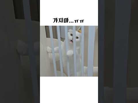 나 오늘 출근 안 해.. 아니 못 해 😭 (Don't go Work)