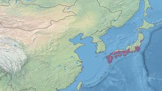 Taiheiyo evergreen forests | Wikipedia audio article