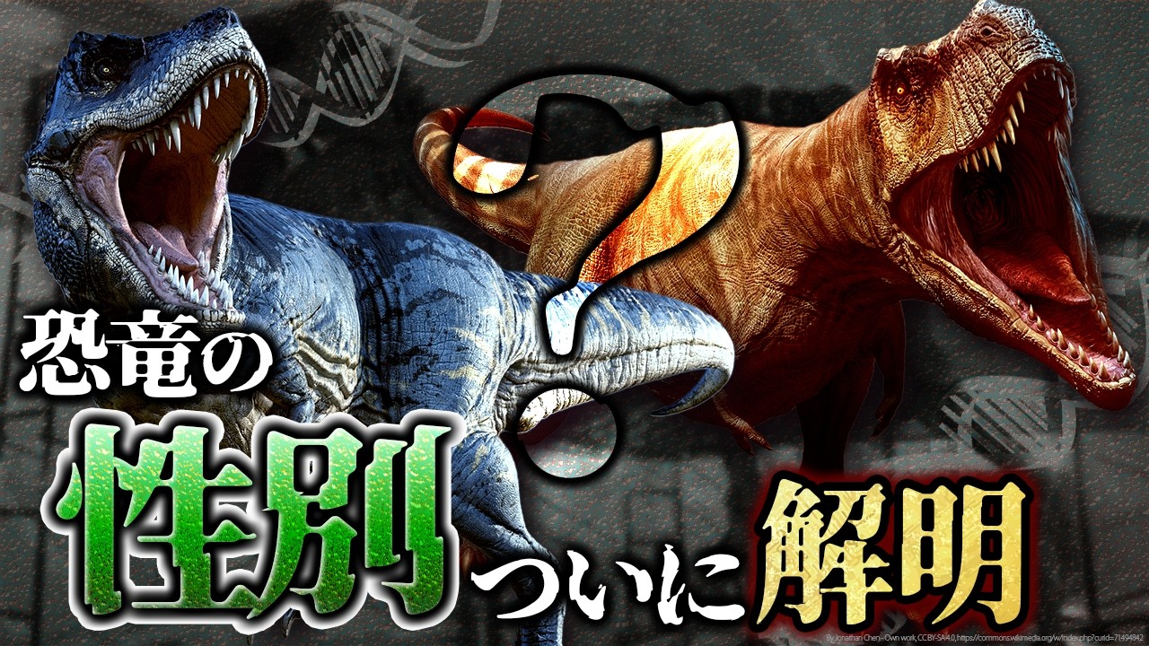 【ゆっくり解説】交尾の方法がヒント！？恐竜のオスとメスを見分ける新たな手がかり
