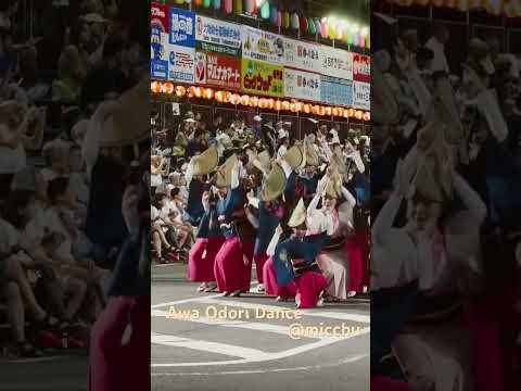 日本四國鳴門市阿波舞祭(2024年8月)