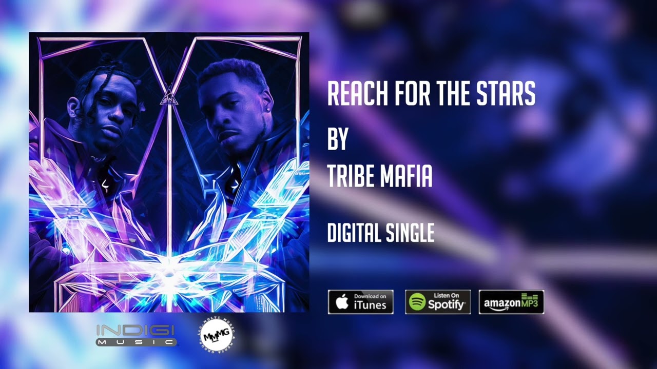 "Reach For The Stars" - Tribe Mafia