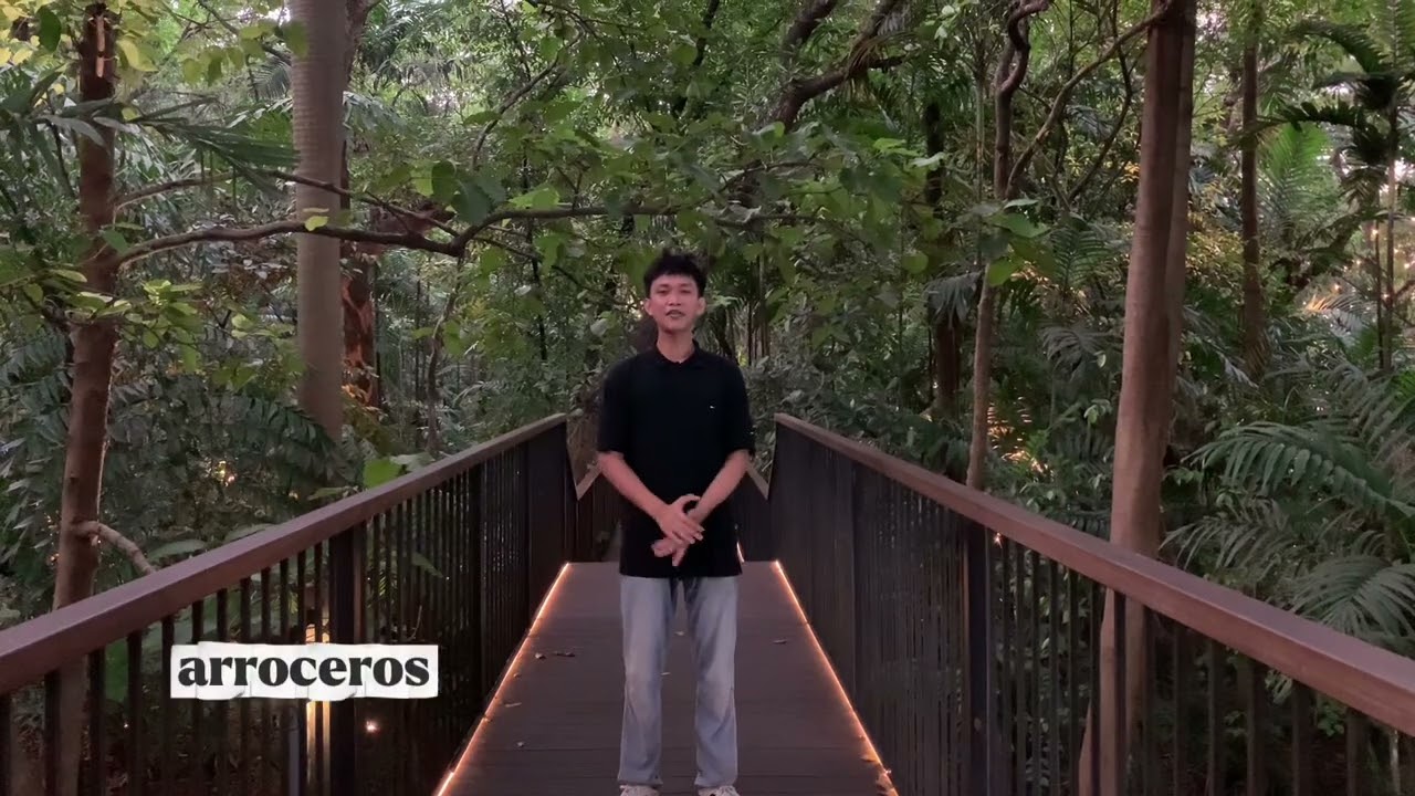 Arroceros Forest Park - Manila's Last Lung 🌳