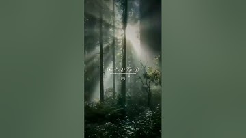 الا بذكر الله تطمئن القلوب #صوت_جميل #قرآن #راحة_نفسية #قران_كريم #تلاوة_خاشعة