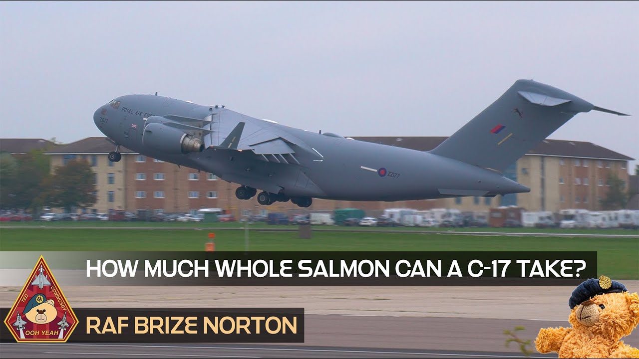 BOEING C-17 GLOBEMASTER III TEXT BOOK DEPARTURE MAX PAYLOAD 25,551 WHOLE SALMON • RAF BRIZE NORTON