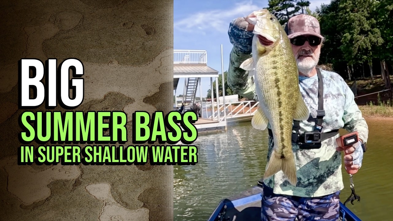Super Shallow Summer Bass At Lake Lanier