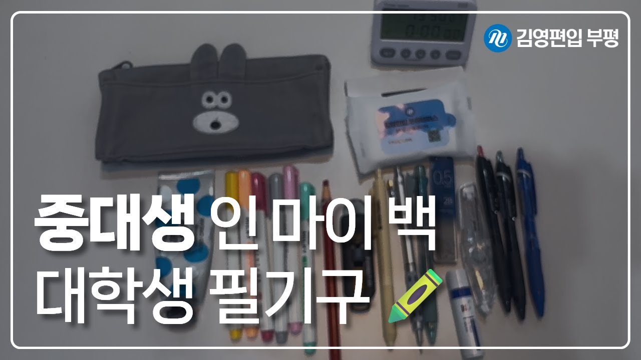 #whatsinmybag 🖍️중대생의 필통 속 필기구 공개
