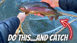 How to Fly Fish a BIG River & Catch BIGGER Trout (Late December, Eastern OR)