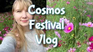 Cosmos Festival in Japan | Japan Vlog