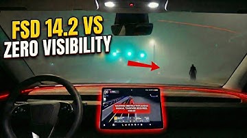Tesla Self-Driving 14.2 vs. Heavy Fog! Impressive.