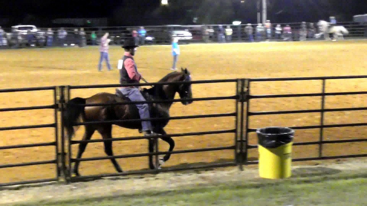 Tippah Co Fair Show 2017, Ripley, MS YouTube