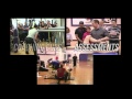 Bulletproof Knees and Back Seminar Preview