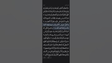 سورة البقرة آية 204 و 205 القارئ الشيخ ياسر الدوسري