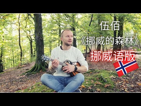 Norwegian version of Wu Bai's 伍佰 "Norwegian Wood"《挪威的森林》sung by a Norwegian in a Norwegian forest