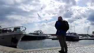 VID 20150506 133004 - created with Huawei P8