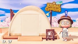 ITEM GRIND & campsite visitor 🌴 Let's Play ACNH #037