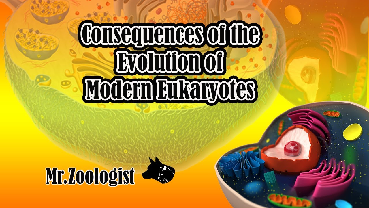 Consequences of the Evolution of Modern Eukaryotes | By Mr.Zoologist ...