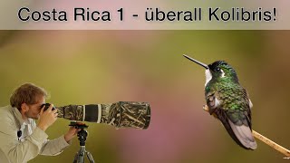 Costa Rica Teil 1 - Kolibris fotografieren (Tipps und Tricks)