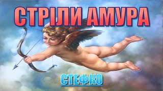 Стріли Амура - СТЕФКО