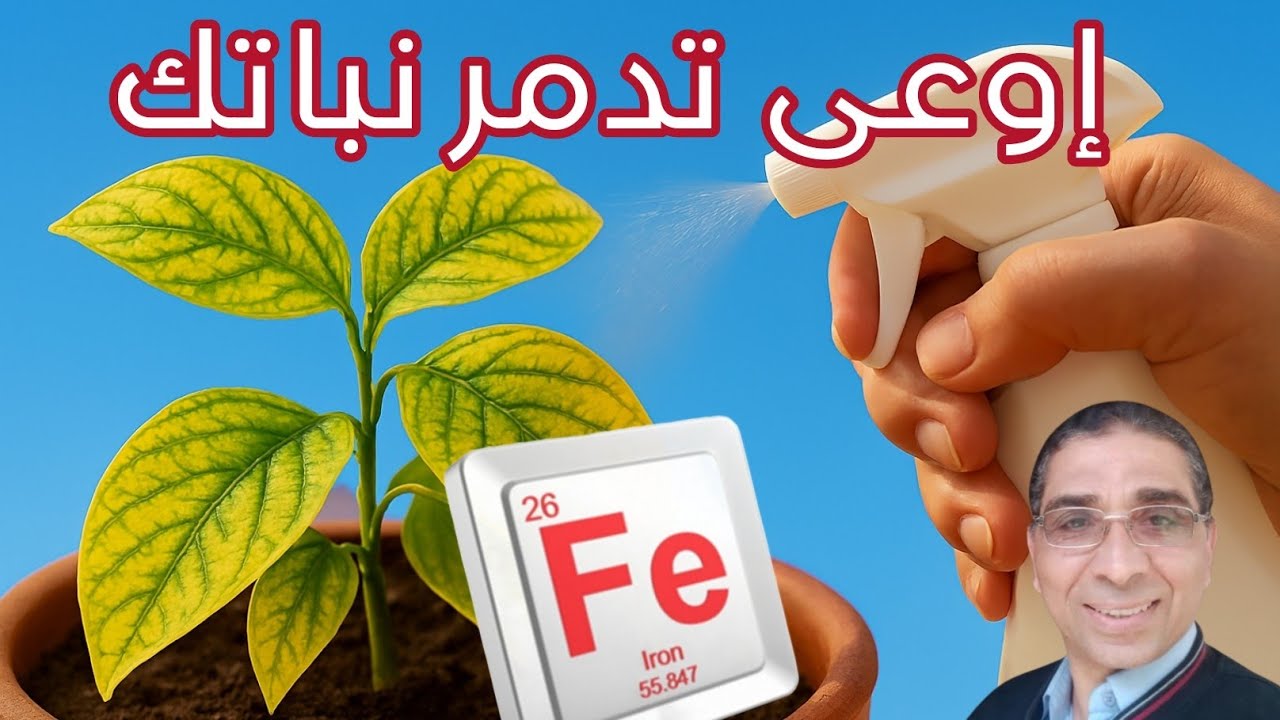 عنصر الحديد للنبات 😱 الحقيقة الصادمة! أخطاء بسيطة بتدمّر نباتك!