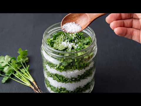 Keep Cilantro Fresh for a Whole Year Without Spoiling With This Amish Traditional Way | Click DIY